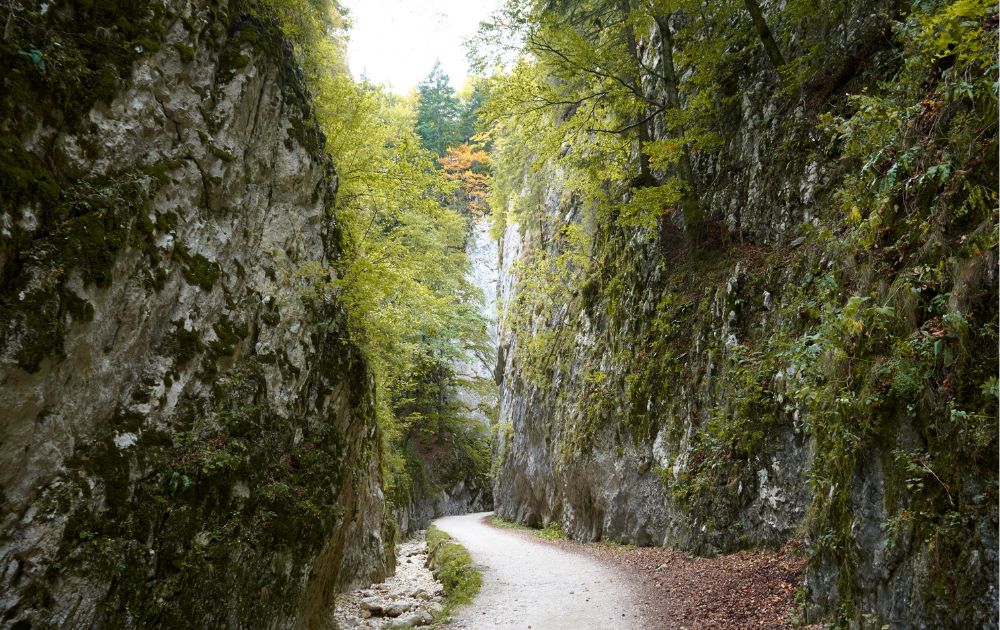 Prăpăstiile Zărneștiului