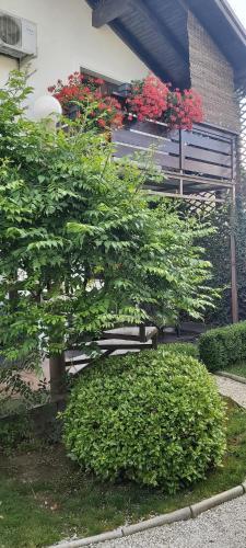Alexander House - 438