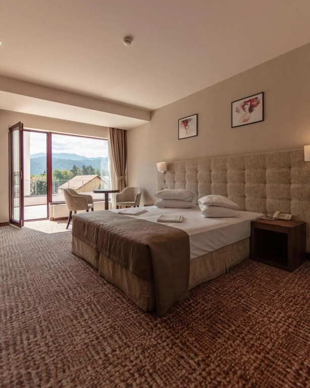 Belvedere Hotel Brasov - 938