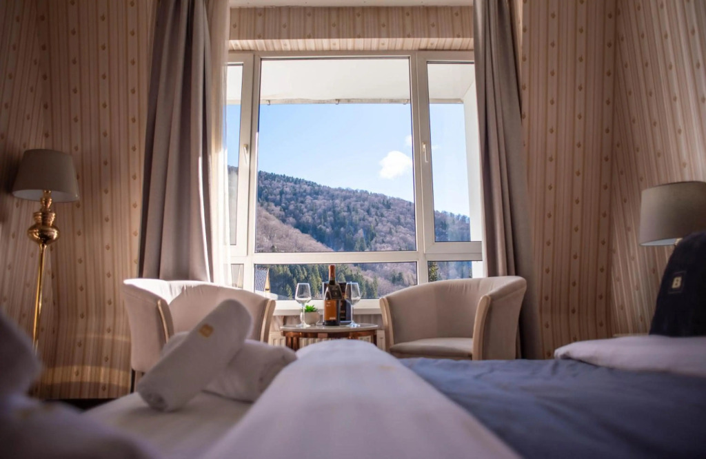 Hotel Carpathia - 950