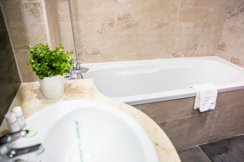 Hotel Carpathia - 487