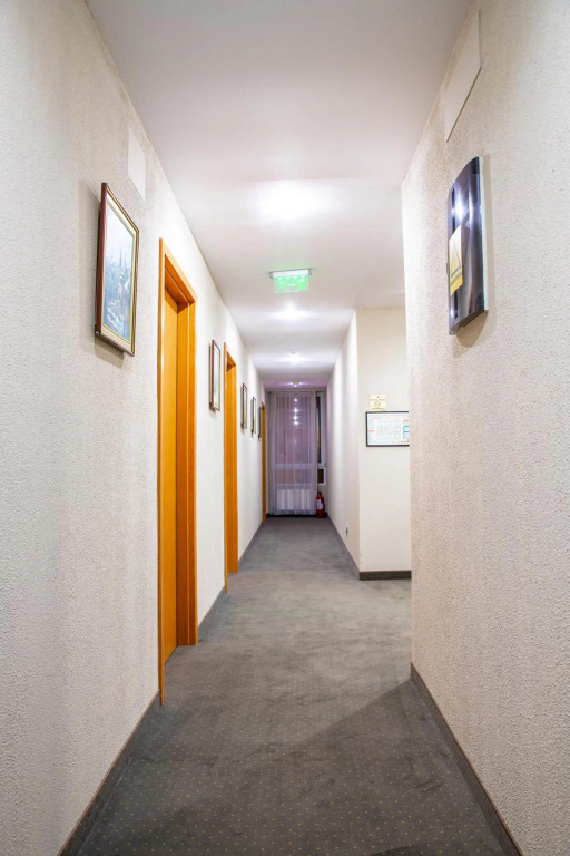 Hotel Carpathia - 5