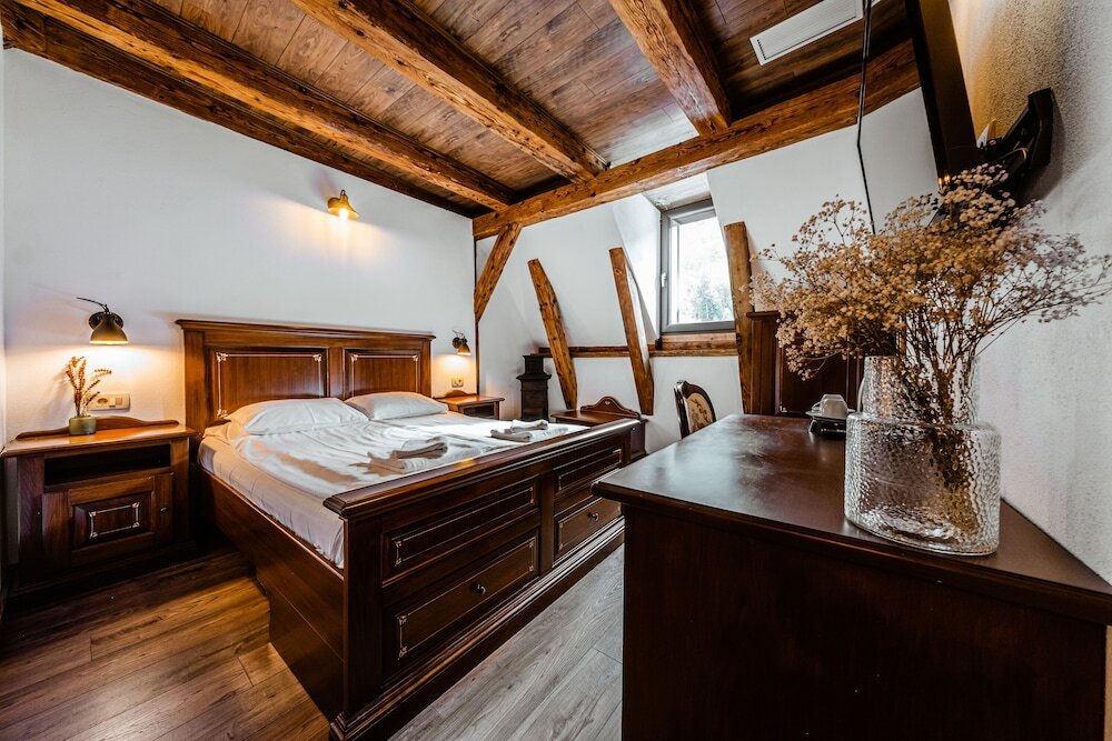 Casa Chitic Balcescu Hotel - 639