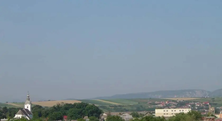 Casa Simona Turda - 449
