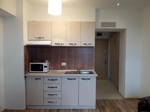 Bucharest Residence Apartment - 472