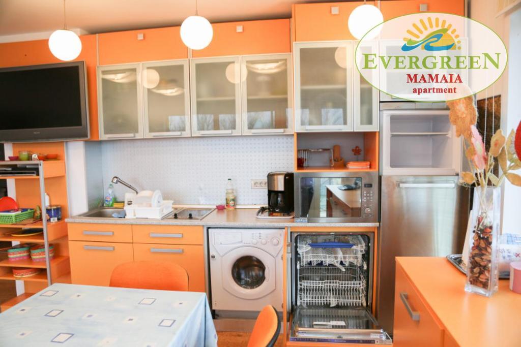 Evergreen Vlas Mamaia - 584