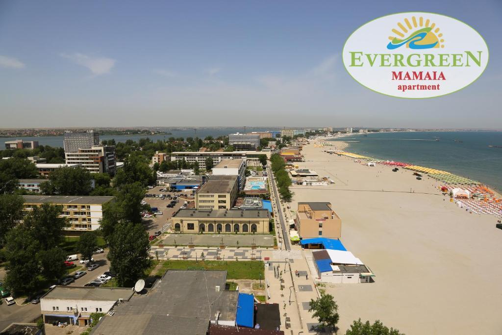 Evergreen Vlas Mamaia - 938