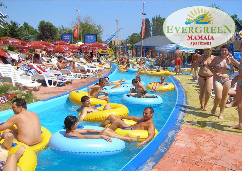 Evergreen Vlas Mamaia - 887
