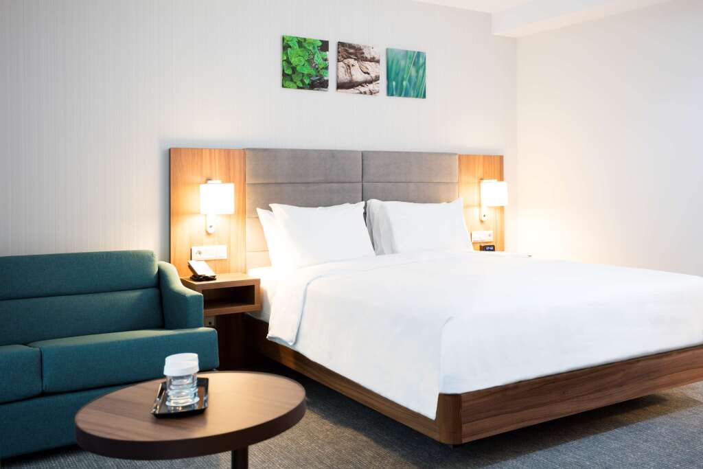 Hilton Garden Inn Bucharest Old Town - 703