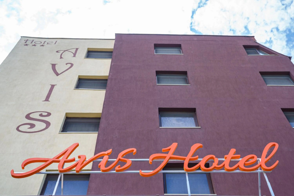 Hotel Avis - 313