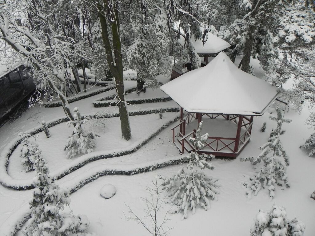 Hotel Baneasa Parc - 396
