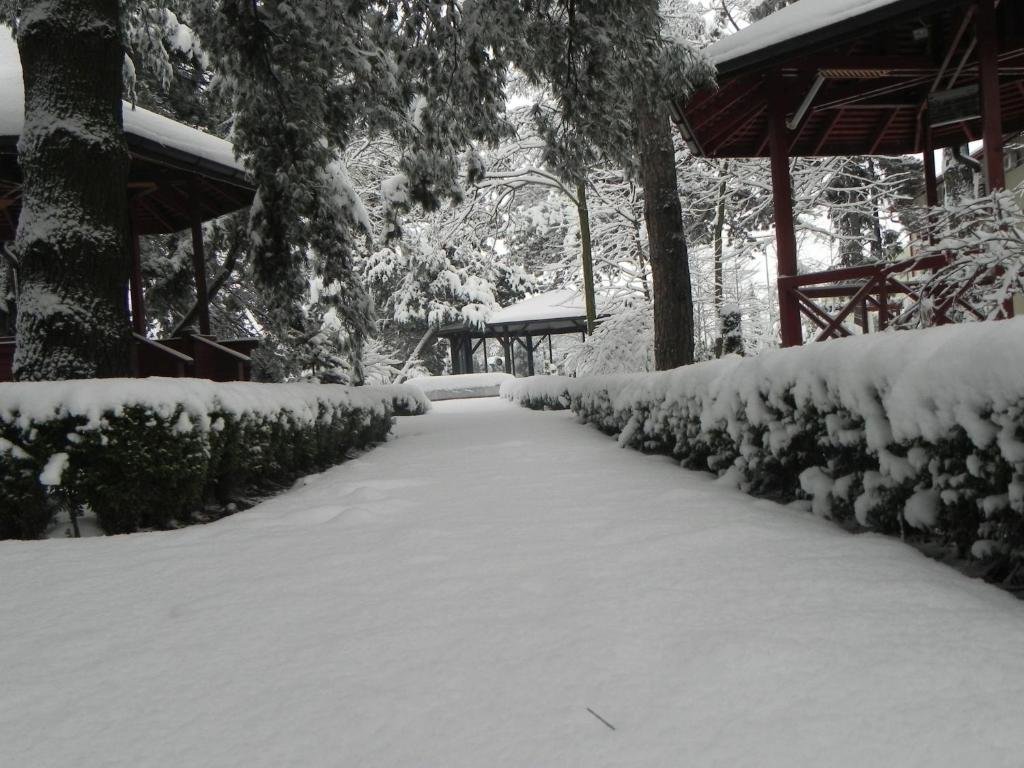 Hotel Baneasa Parc - 609