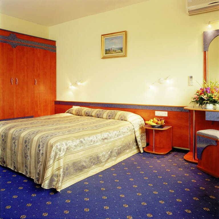 Caro Horoscop Hotel - 617