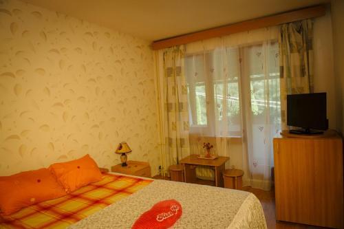 Hotel Gambrinus - 427
