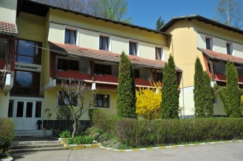 Hotel Gambrinus - 227