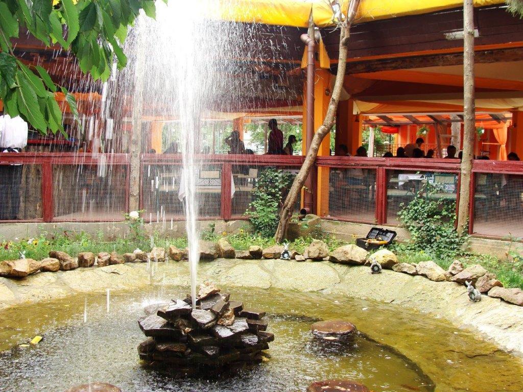 Hotel Majestic Olimp - 405