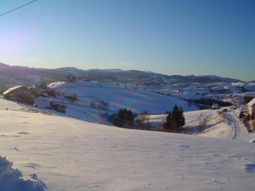 Nobillis - Carpathian Residence - 209