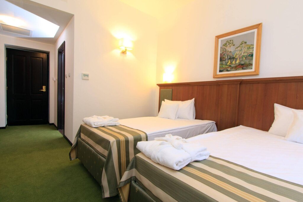 Hotel Palace - 50
