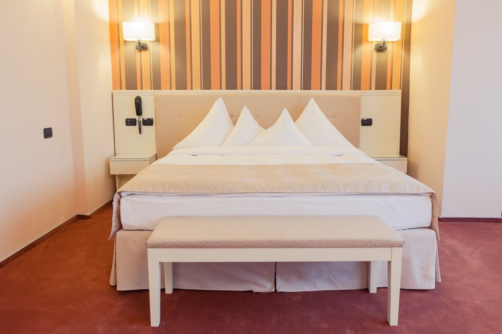 Hotel Paradis Cluj Napoca - 561