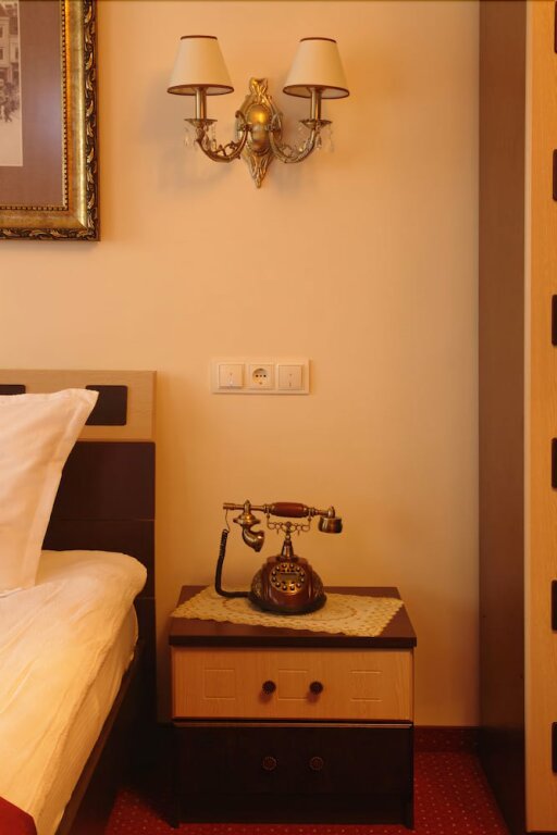 Hotel Pensiune Natural - 383