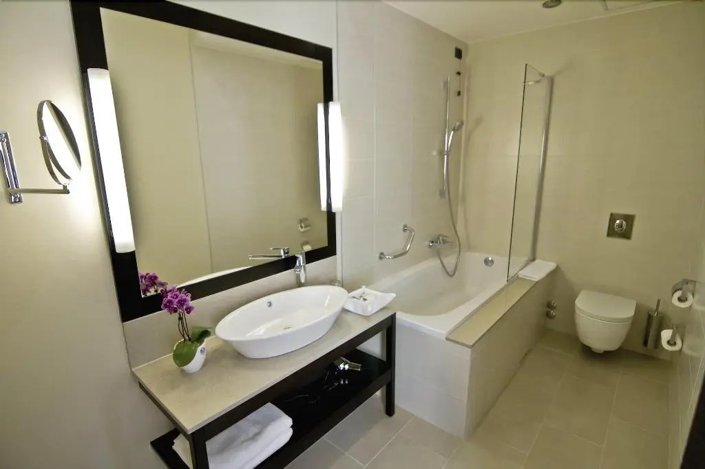 Hotel Timisoara - 158