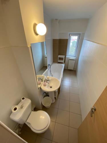 New Green Apartment Studio 1 - 269