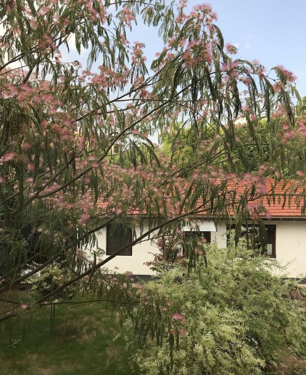 Passpartout Hostel - 928