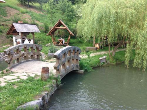 Păstrăvăria Alex - 846