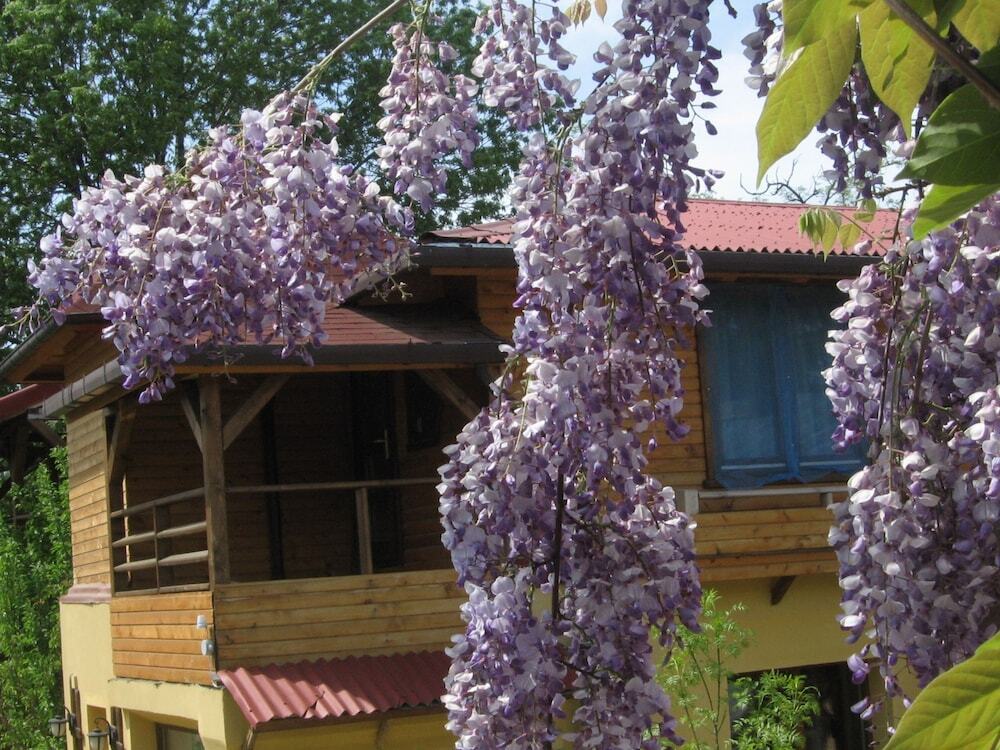 Pension Casa Mica - 793