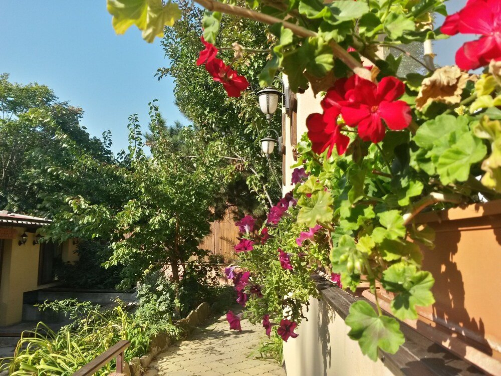 Pension Casa Mica - 202