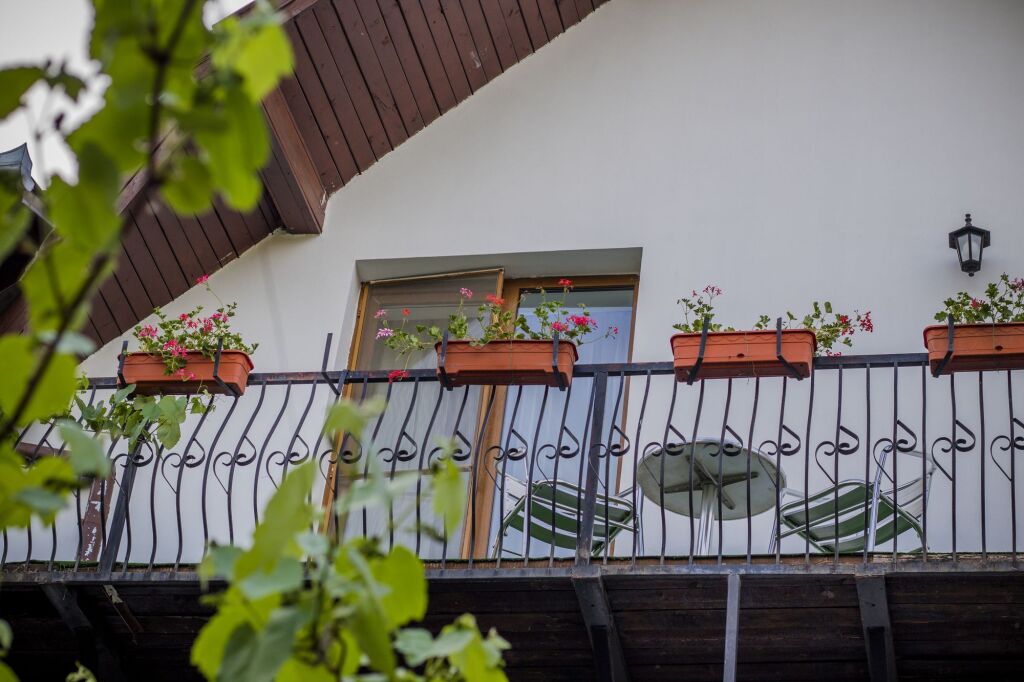 Gasthof Sara - 853