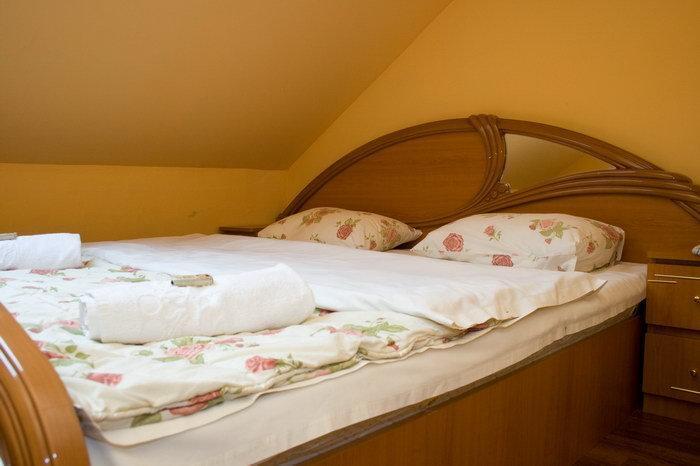 Pension Mellis Cluj Napoca - 223