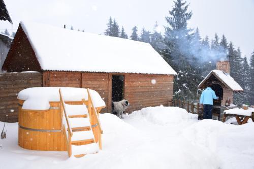 Pension Tofalvi - 978