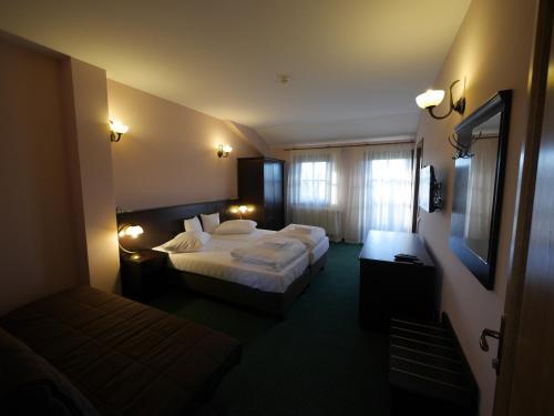 Pensiunea Vis Alpin Belis - 101