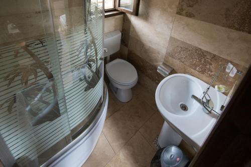 Daiana Residence - 384