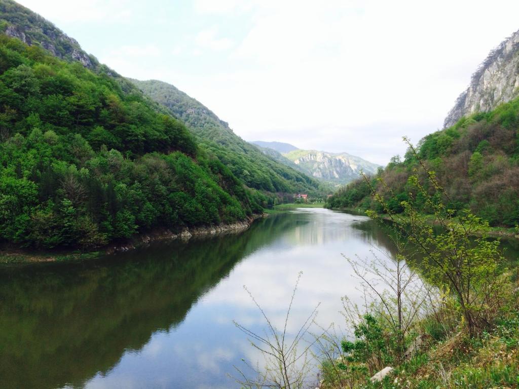 Vila Floare De Colt - 293