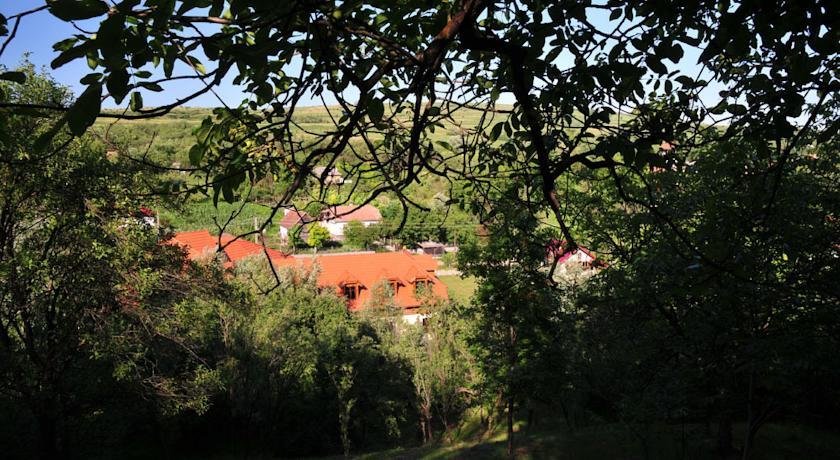 Pensiunea Meander - 770