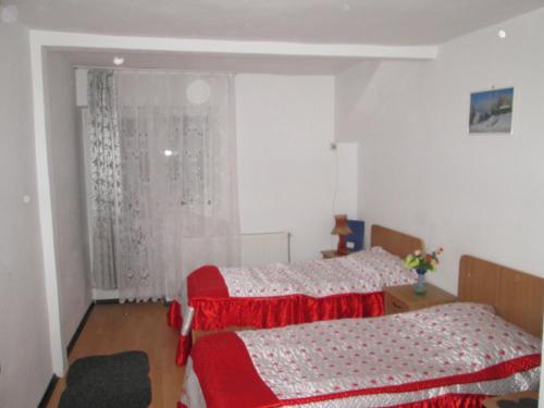 Pensiunea Select - 140