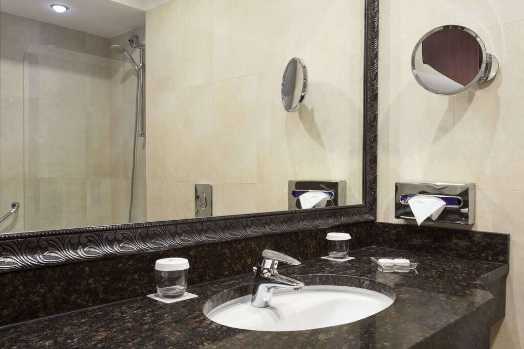 Ramada Hotel & Suites by Wyndham Bucharest North - 345