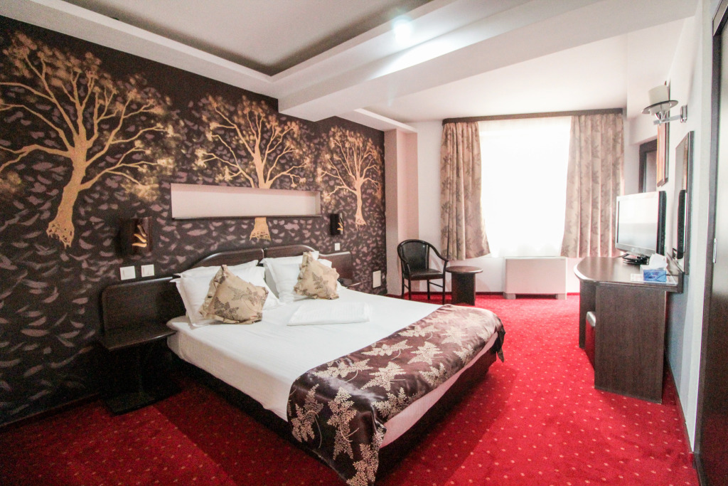 Hotel Razvan - 508
