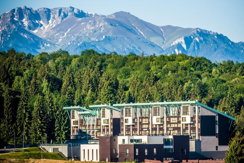 Silver Mountain - 995