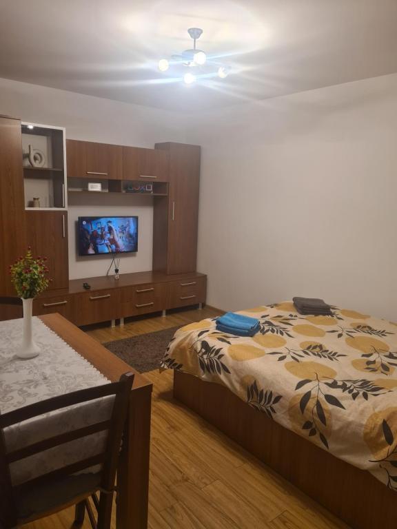 Studio Turda - 941