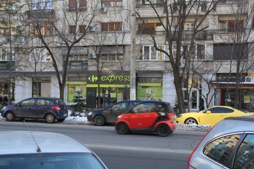 Premium Studio, Alba Iulia square - 530