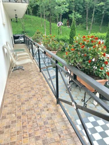 Vila Miandra - 5