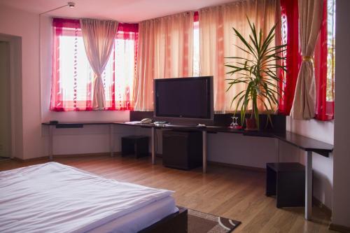 Pensiunea Villa Grande - 995