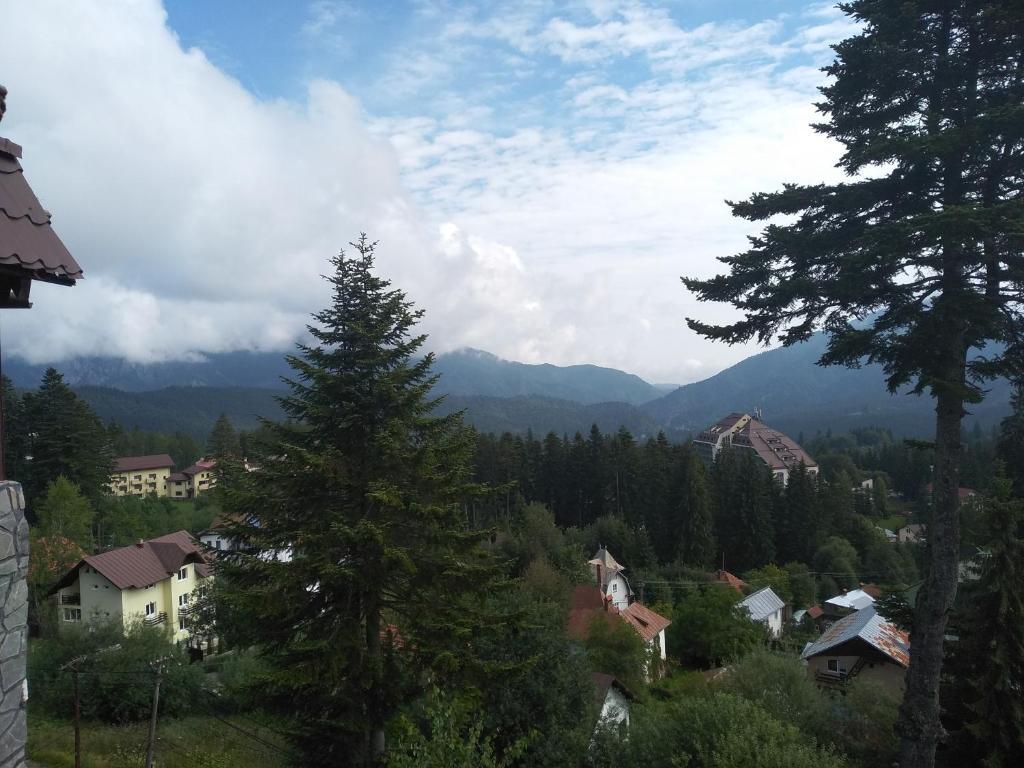 Villa Milcov - 755